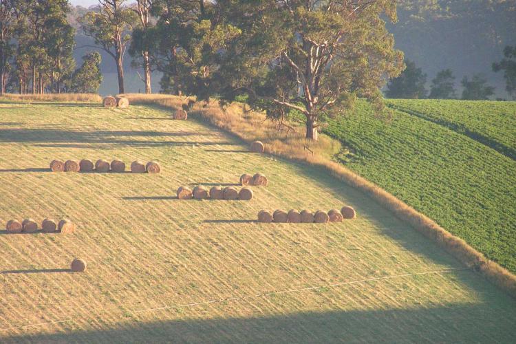 The rolling hills of Gembrook